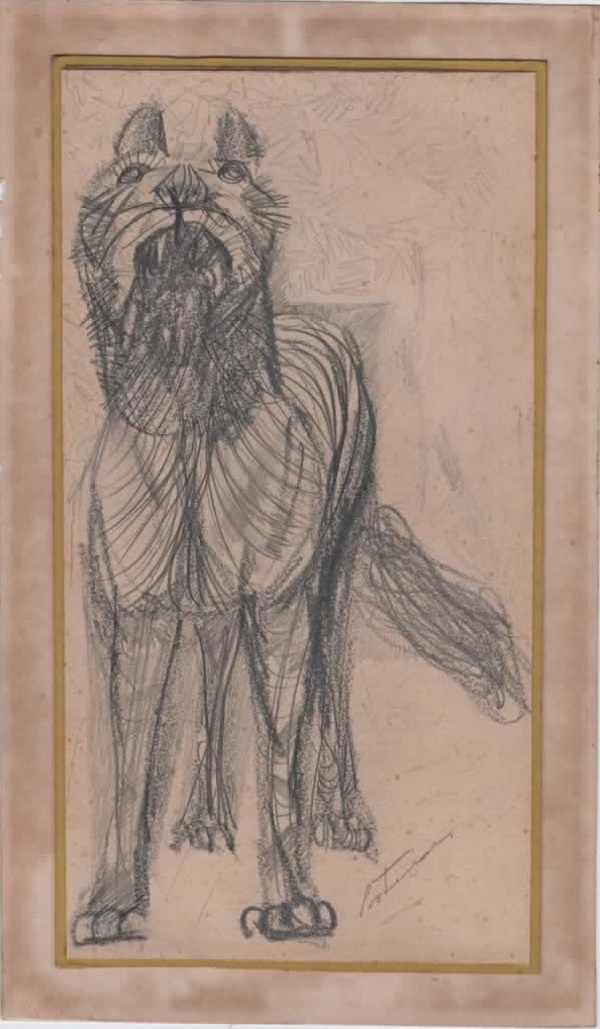 Fera